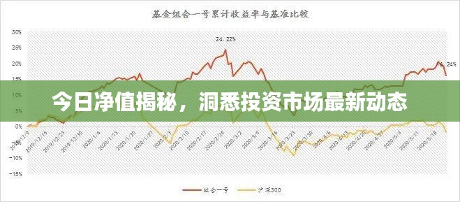 今日净值揭秘，洞悉投资市场最新动态