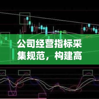 公司经营指标采集规范，构建高效数据体系，助力企业稳健发展！
