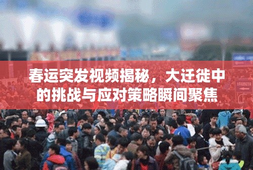 春运突发视频揭秘，大迁徙中的挑战与应对策略瞬间聚焦