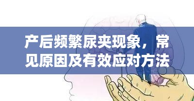 产后频繁尿夹现象，常见原因及有效应对方法