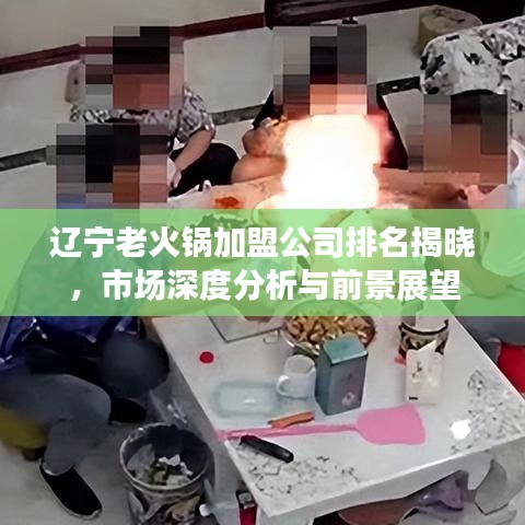 辽宁老火锅加盟公司排名揭晓，市场深度分析与前景展望