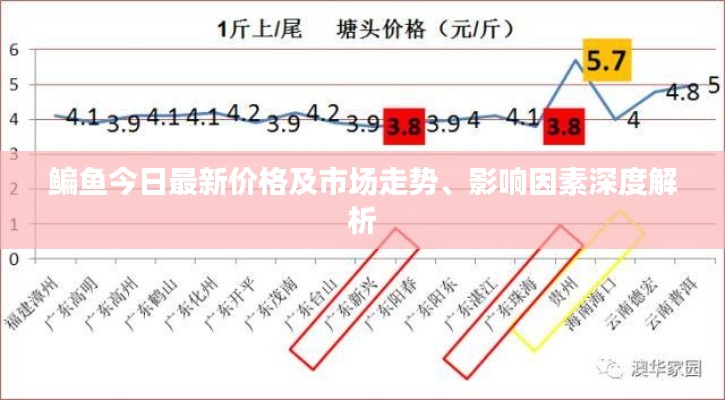 鳊鱼今日最新价格及市场走势、影响因素深度解析