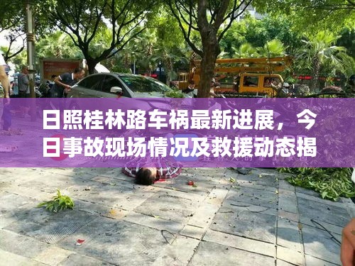 日照桂林路车祸最新进展，今日事故现场情况及救援动态揭秘