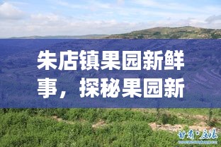朱店镇果园新鲜事，探秘果园新动态，领略乡村魅力风采