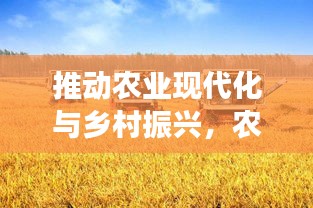 推动农业现代化与乡村振兴，农业支持政策落实见实效