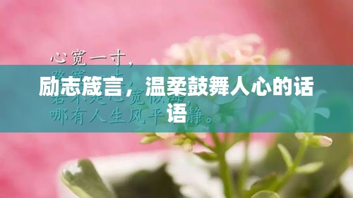 励志箴言，温柔鼓舞人心的话语