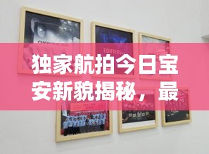 独家航拍今日宝安新貌揭秘，最新动态与瞩目焦点
