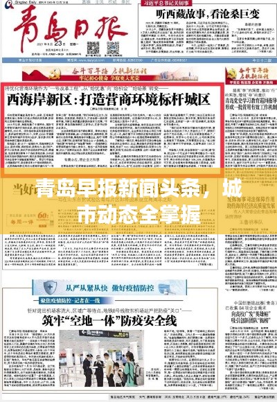 青岛早报新闻头条，城市动态全掌握