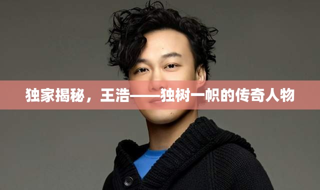 独家揭秘，王浩——独树一帜的传奇人物