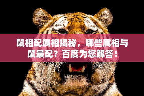 鼠相配属相揭秘，哪些属相与鼠最配？百度为您解答！