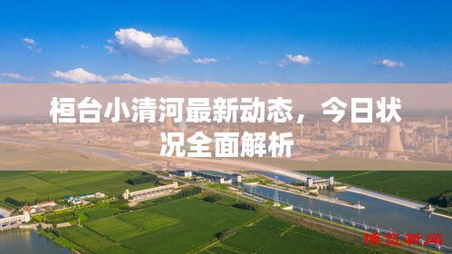 桓台小清河最新动态，今日状况全面解析