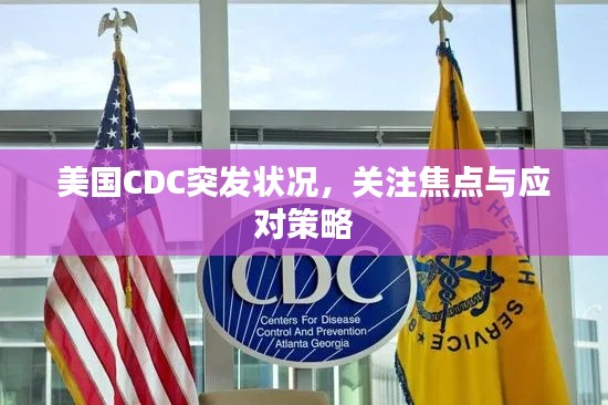 美国CDC突发状况，关注焦点与应对策略
