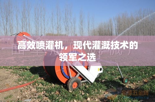 高效喷灌机，现代灌溉技术的领军之选