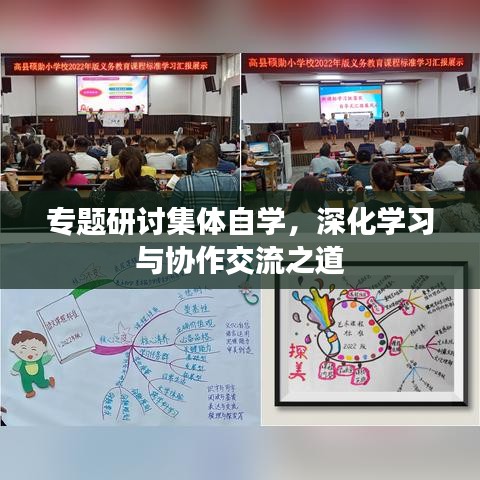 专题研讨集体自学，深化学习与协作交流之道