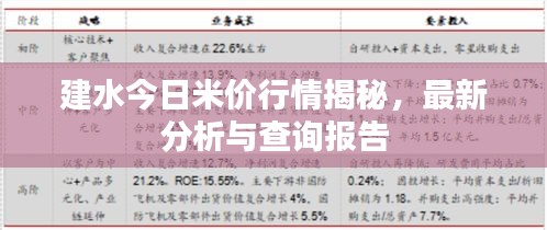 建水今日米价行情揭秘，最新分析与查询报告
