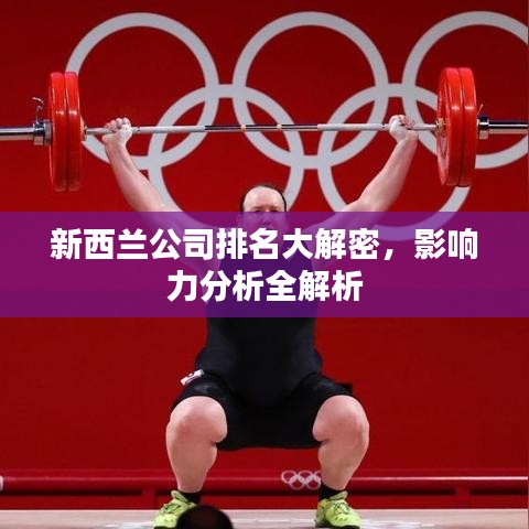 新西兰公司排名大解密，影响力分析全解析