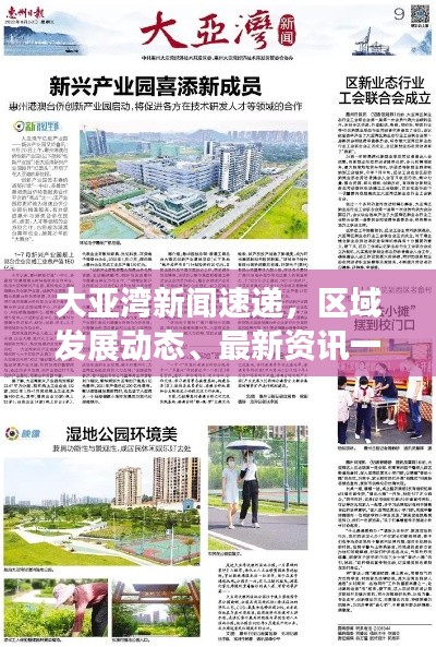 大亚湾新闻速递，区域发展动态、最新资讯一网打尽