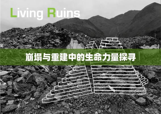 崩塌与重建中的生命力量探寻