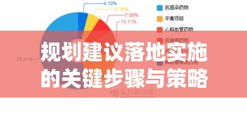 规划建议落地实施的关键步骤与策略