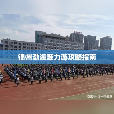 锦州渤海魅力游攻略指南