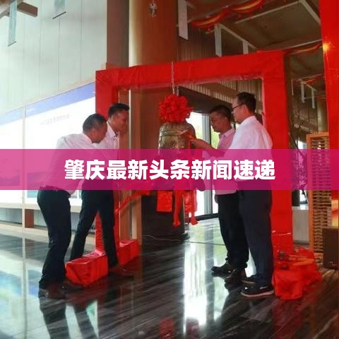 肇庆最新头条新闻速递