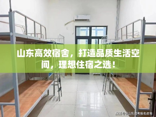 山东高效宿舍，打造品质生活空间，理想住宿之选！
