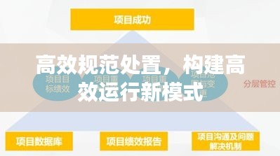 高效规范处置，构建高效运行新模式