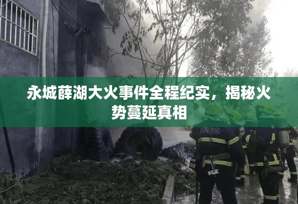 永城薛湖大火事件全程纪实，揭秘火势蔓延真相