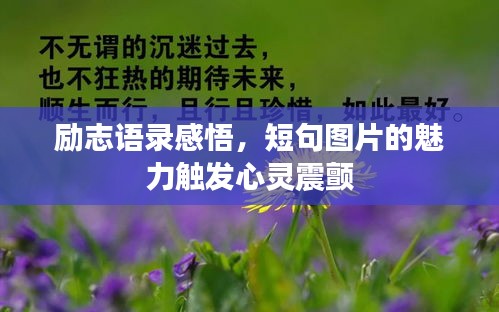 励志语录感悟，短句图片的魅力触发心灵震颤
