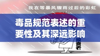 毒品规范表述的重要性及其深远影响