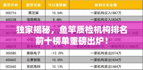 独家揭秘，鱼竿质检机构排名前十榜单重磅出炉！