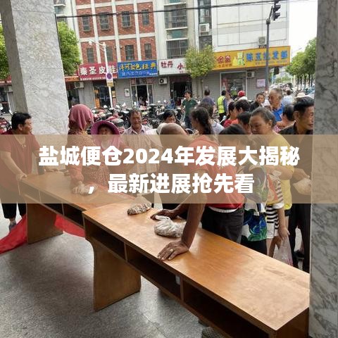 盐城便仓2024年发展大揭秘，最新进展抢先看