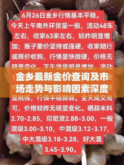 金乡最新金价查询及市场走势与影响因素深度解析