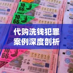 代购洗钱犯罪案例深度剖析，揭露手法与防范之道