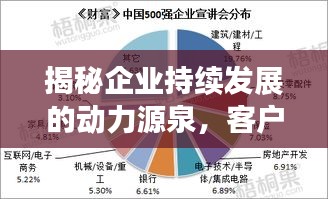 揭秘企业持续发展的动力源泉，客户不断涌入的力量