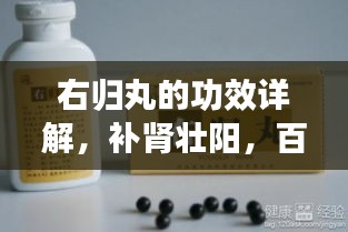 右归丸的功效详解，补肾壮阳，百度权威收录