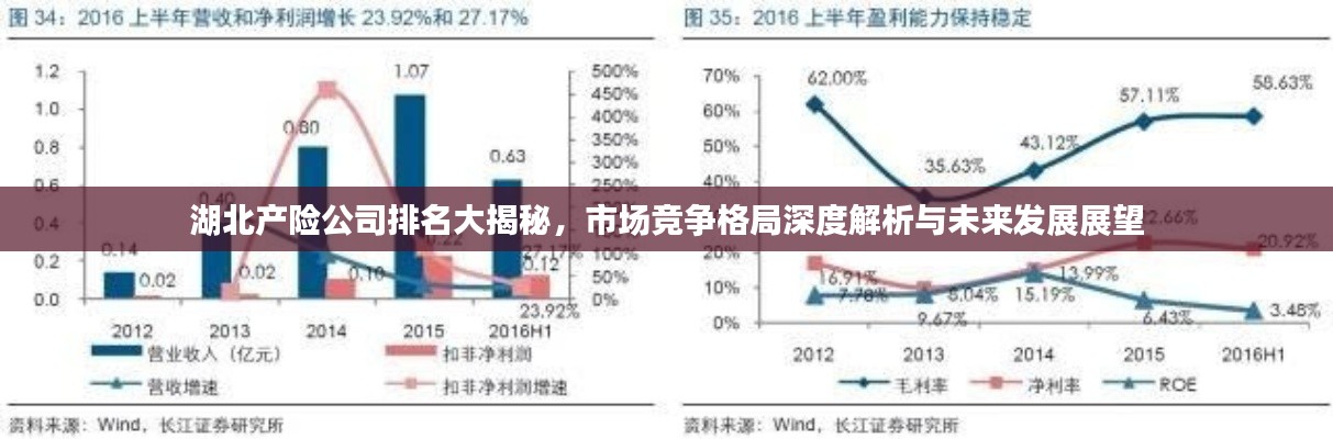 湖北产险公司排名大揭秘，市场竞争格局深度解析与未来发展展望