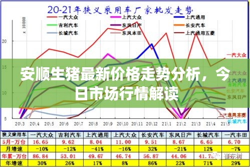 安顺生猪最新价格走势分析，今日市场行情解读