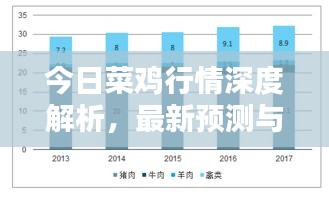 今日菜鸡行情深度解析，最新预测与分析