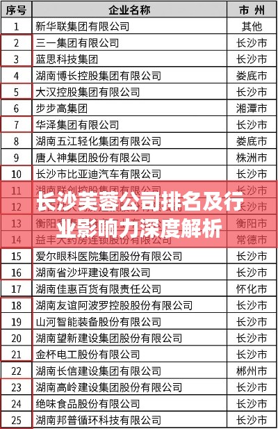 长沙芙蓉公司排名及行业影响力深度解析