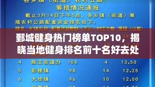 鄄城健身热门榜单TOP10，揭晓当地健身排名前十名好去处