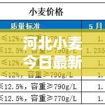 河北小麦今日最新价格走势分析