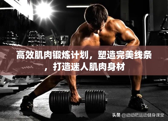 高效肌肉锻炼计划，塑造完美线条，打造迷人肌肉身材