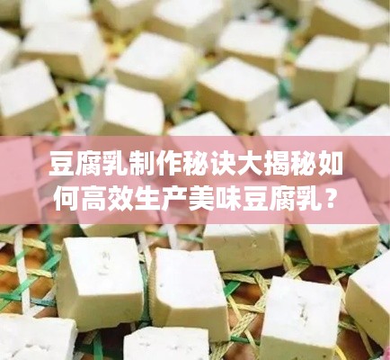 豆腐乳制作秘诀大揭秘如何高效生产美味豆腐乳？
