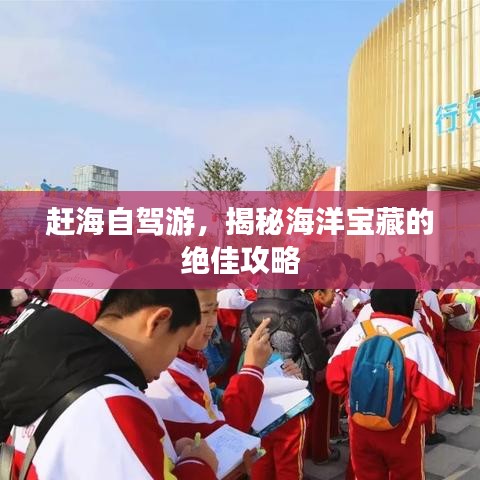 赶海自驾游，揭秘海洋宝藏的绝佳攻略