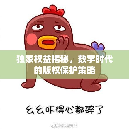 独家权益揭秘，数字时代的版权保护策略
