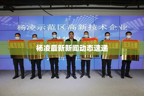 杨凌最新新闻动态速递