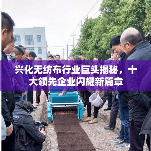 兴化无纺布行业巨头揭秘，十大领先企业闪耀新篇章