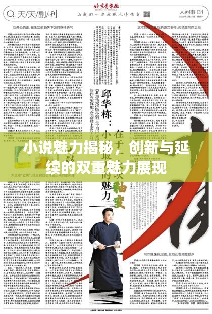 小说魅力揭秘，创新与延续的双重魅力展现