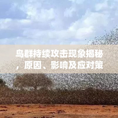 鸟群持续攻击现象揭秘，原因、影响及应对策略